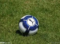 激情对决,曼联布鲁诺,领航,Pg电子,Pg电子试玩模拟器,PG,game,Pg电子试玩模拟器官网