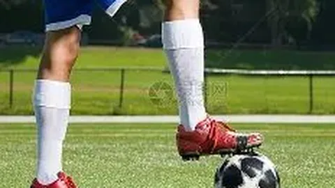 Pg电子试玩模拟器